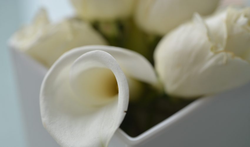 Karine Fenner Interior Designer