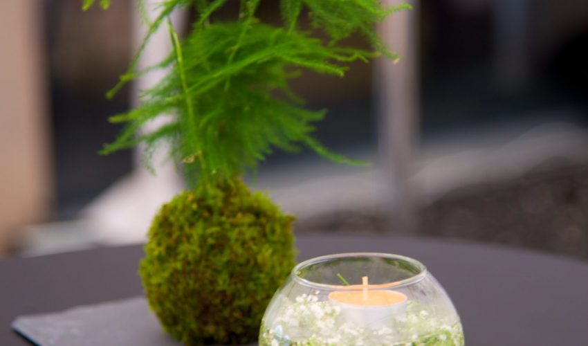 Karine Fenner Interior Designer