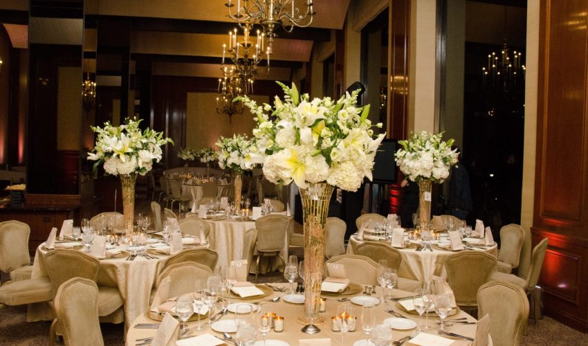 Karine Fenner Interior Designer